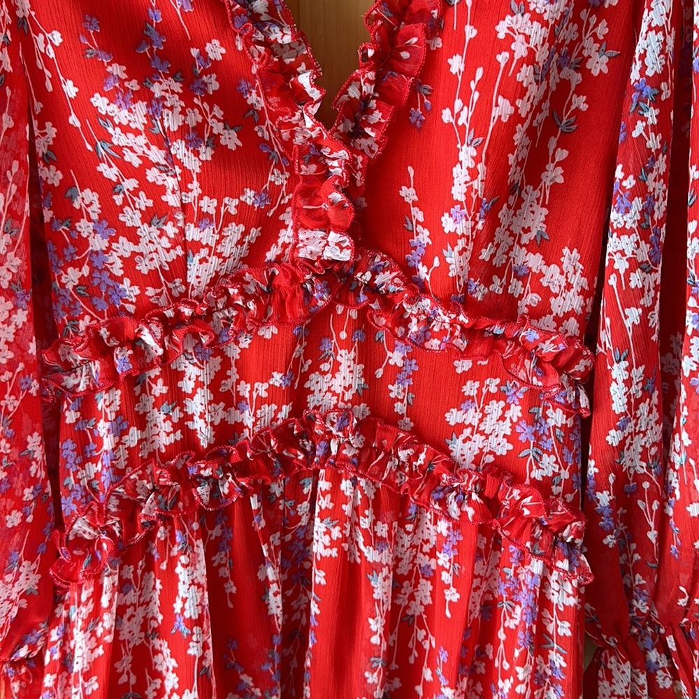 VICI Shake It Up Floral Ruffle Dress - Picture 12 of 13